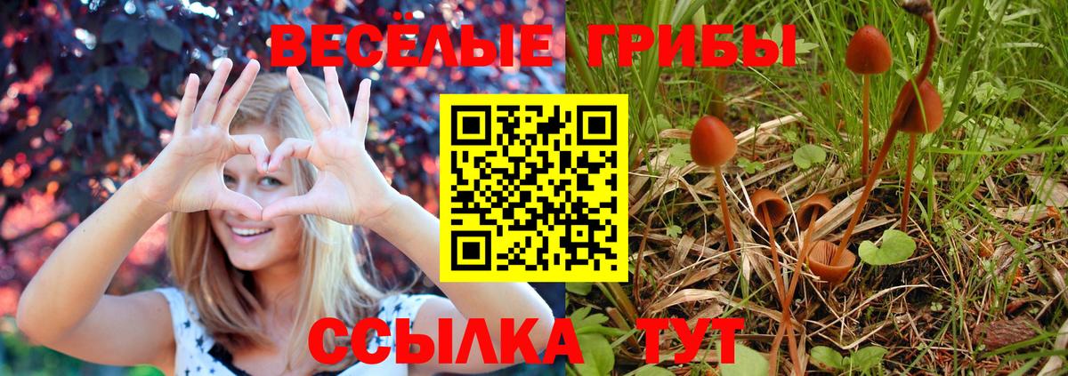 Псилоцибиновые грибы мухоморы  Вход с VPN  Вольск  Галлюциногенные грибы мухоморы 