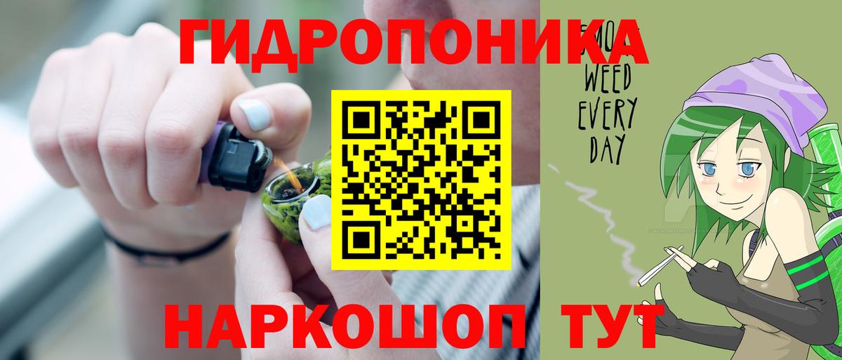 Бошки марихуана сатива Вольск